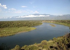 Zentralafrikanische Republik – Kongo: Naturparadiese im Kongobecken - Regenwaldexpedition - Sangha Fluss