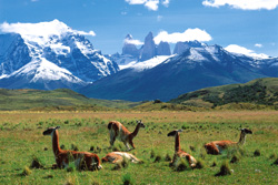 Sdamerika, Chile - Argentinien: Patagonien - Bergkulisse