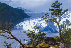 Sdamerika, Chile - Argentinien: Patagonien - Wilde Landschaft Patagoniens